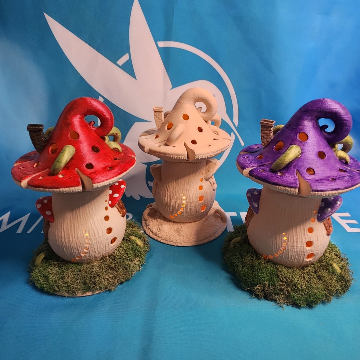 Fairy Mushroom