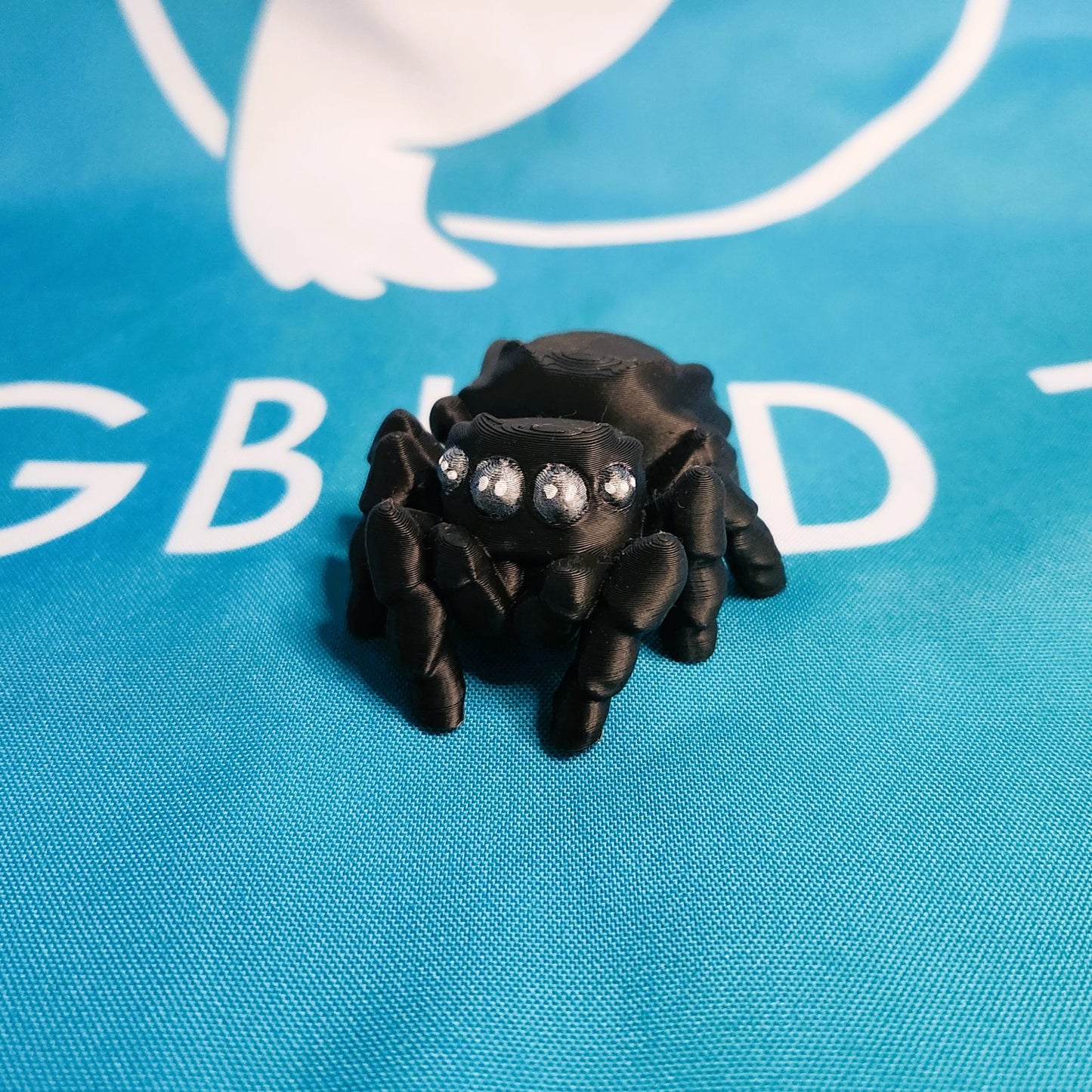 Spider Companion