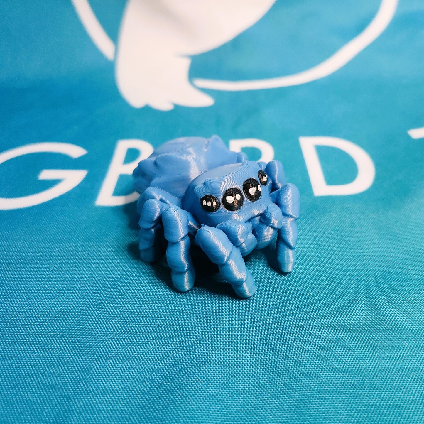 Spider Companion