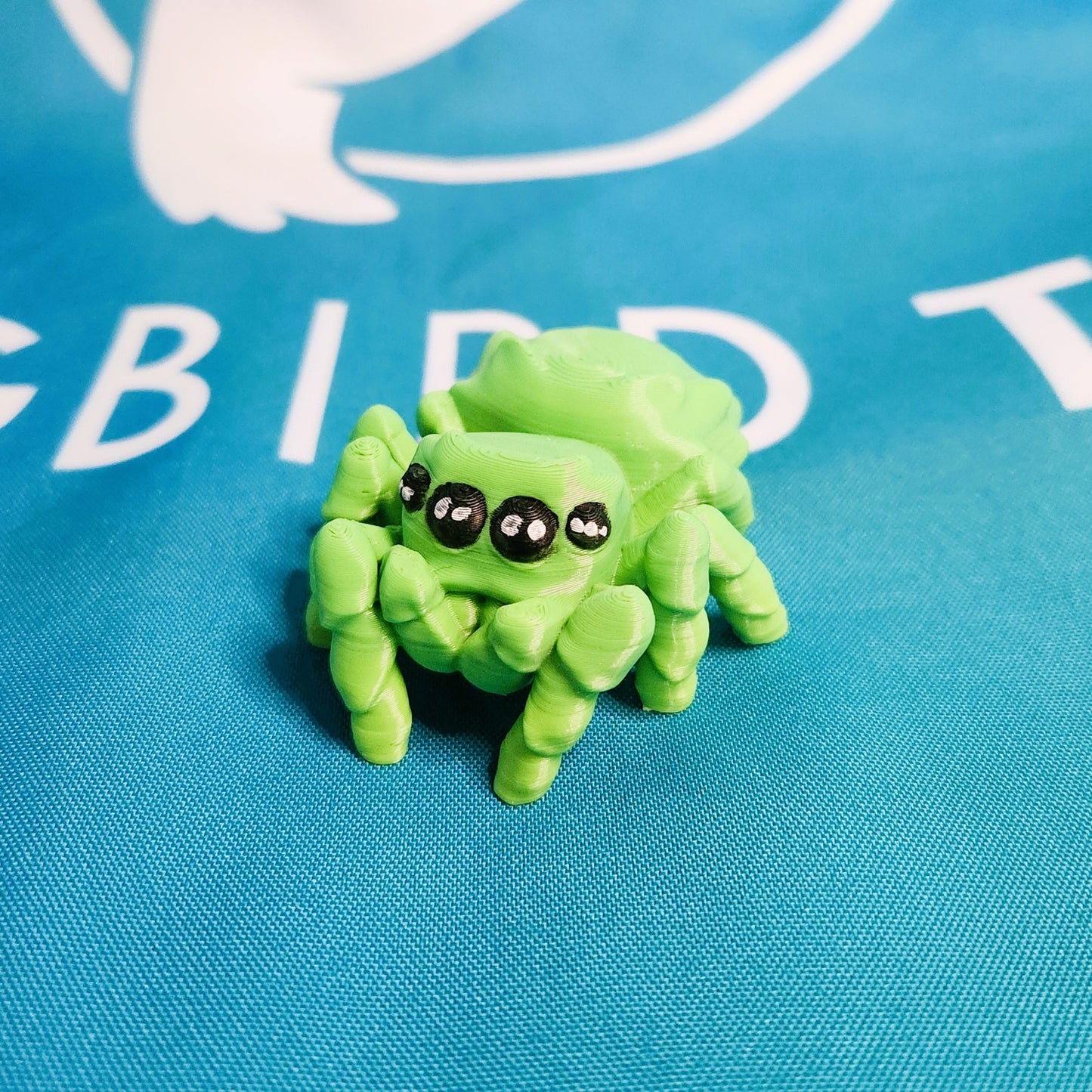 Spider Companion