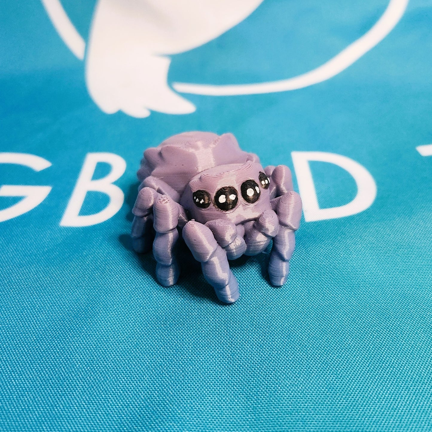 Spider Companion